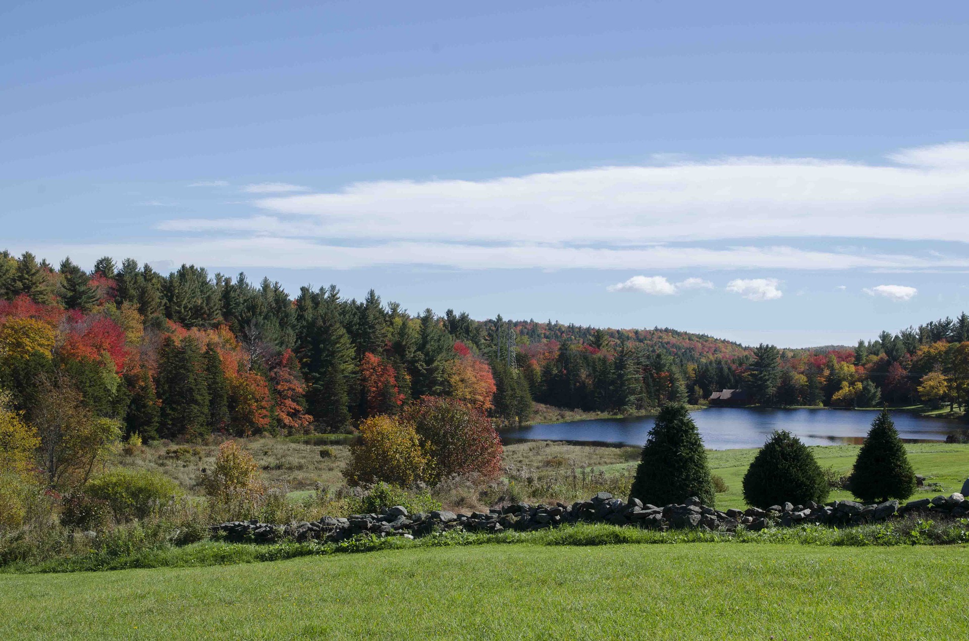 Autumn landscape